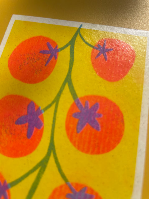 miniprint tomaatjes