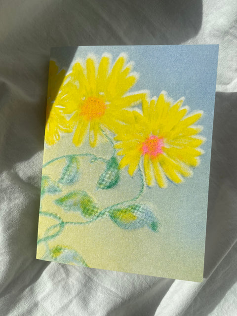zonnebloemen