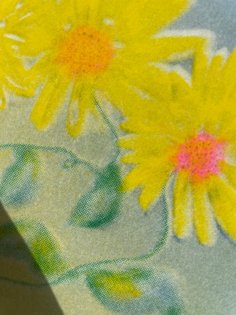 zonnebloemen