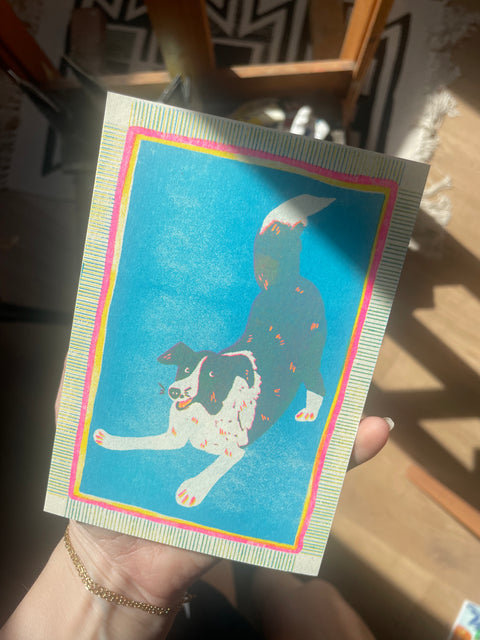 doggo